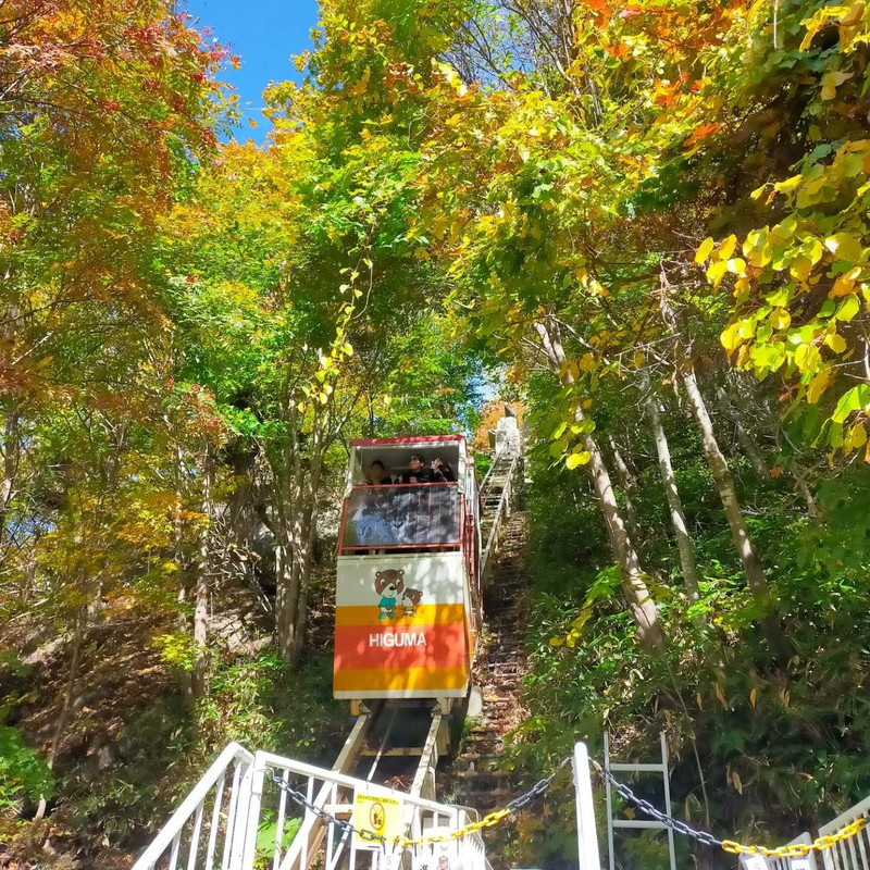 milkyandchyocoさんの写真 / 2