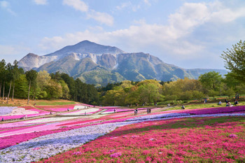 To refresh yourself on the weekend, go on a girls' trip to Chichibu.