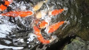 施設内の設備 / 8