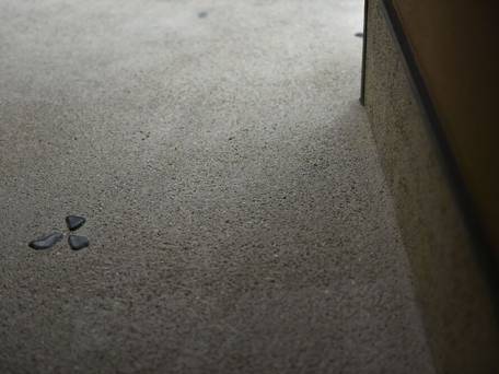 鈴 プレミアム 光輝 / 5