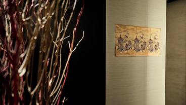 施設の敷地 / 14