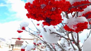 シティ ビュー / 31