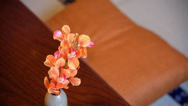 客室の設備とサービス / 21