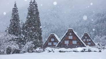 ランド ビュー / 10