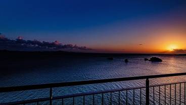 レストラン / 13