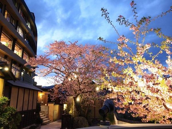 海が見えるロビーで
かき氷やビールを / 1