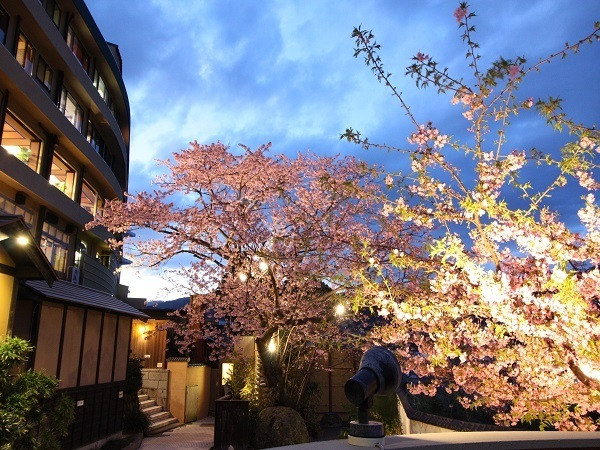 稲取赤尾ホテル(イナトリオンセン カシキリブロノヤド アカオホテル カイフウロウ) / 1