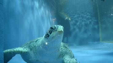 観光スポット / 6