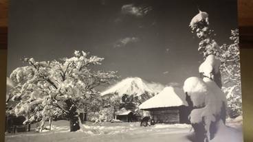 内装の詳細 / 16