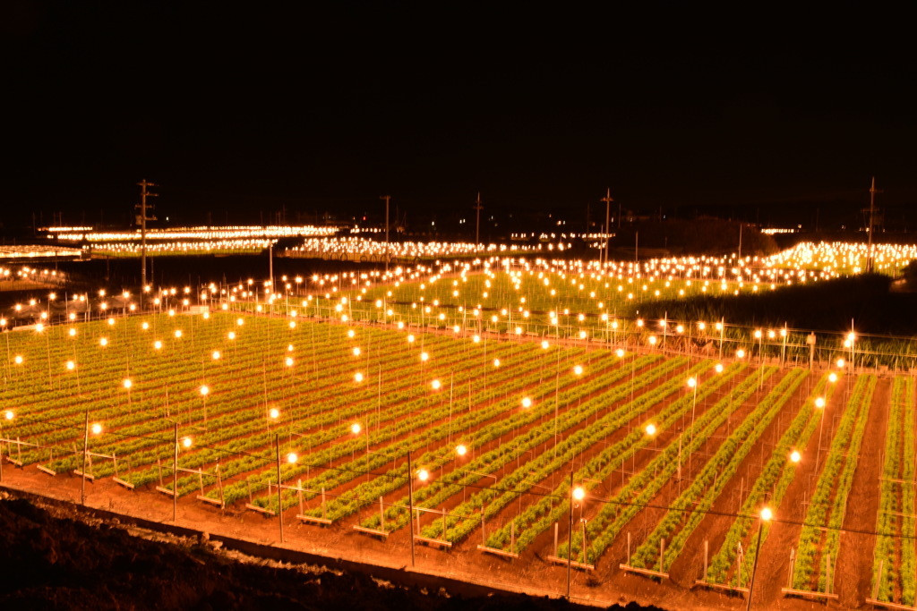 伊良湖オーシャンリゾートがある渥美半島ってどんなところ？3672876