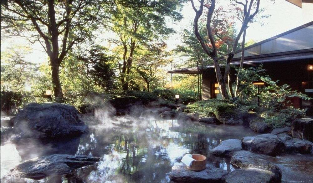 大露天風呂 / 1