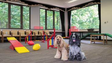 ペット用設備・サービス / 1