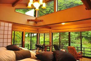 和洋室は天井の窓から星空観賞も