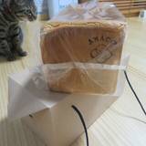 アマコウ カフェ（アマコウカフェ）