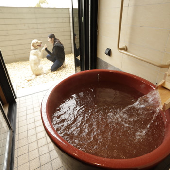 まるで別荘みたい！愛犬とも楽しめる湖畔のホテル3948474