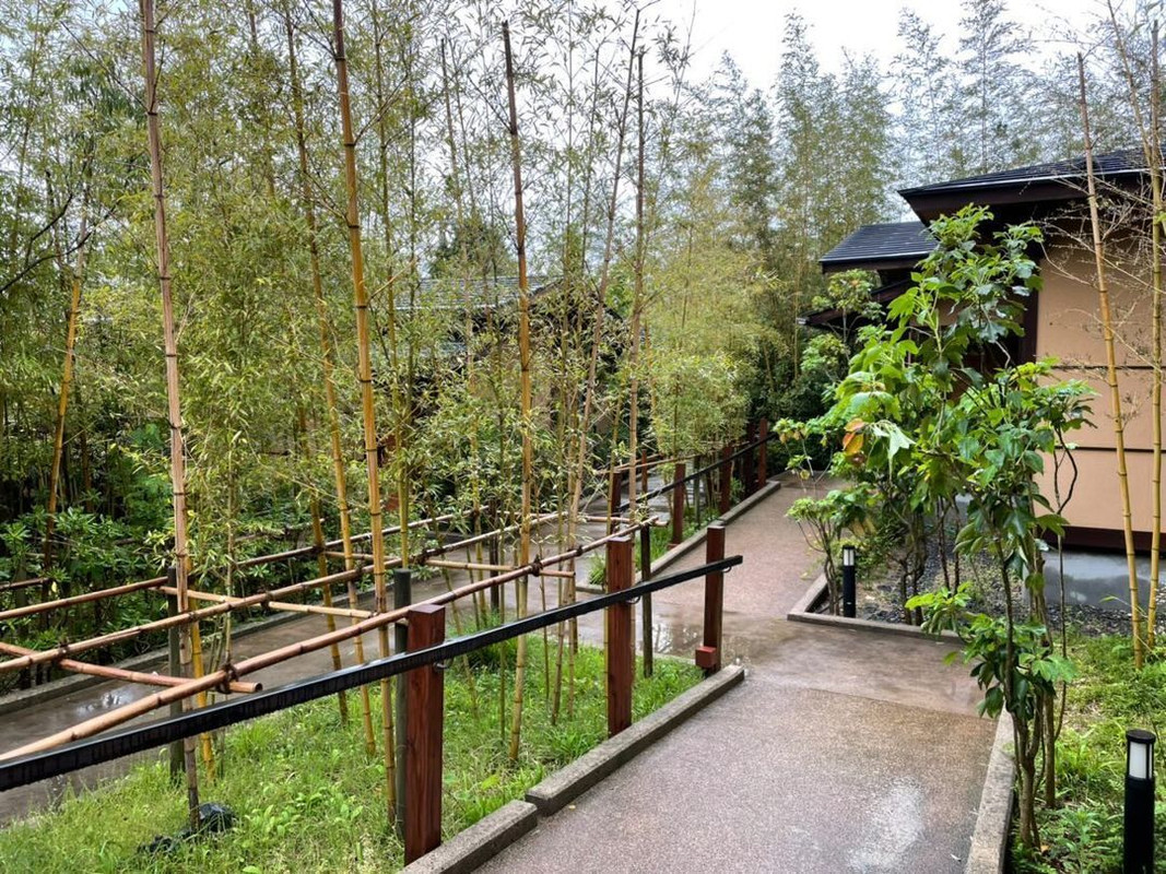 7g_ng_さんの写真 / 1