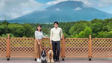 テラス / パティオ / 17