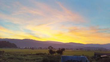 施設からの眺望 / 25