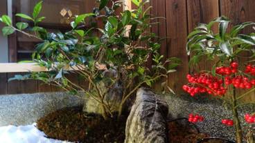 施設からの眺望 / 13