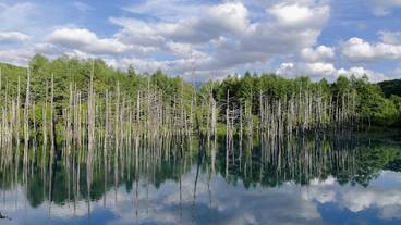 施設からの眺望 / 20