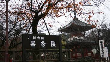 観光スポット / 13