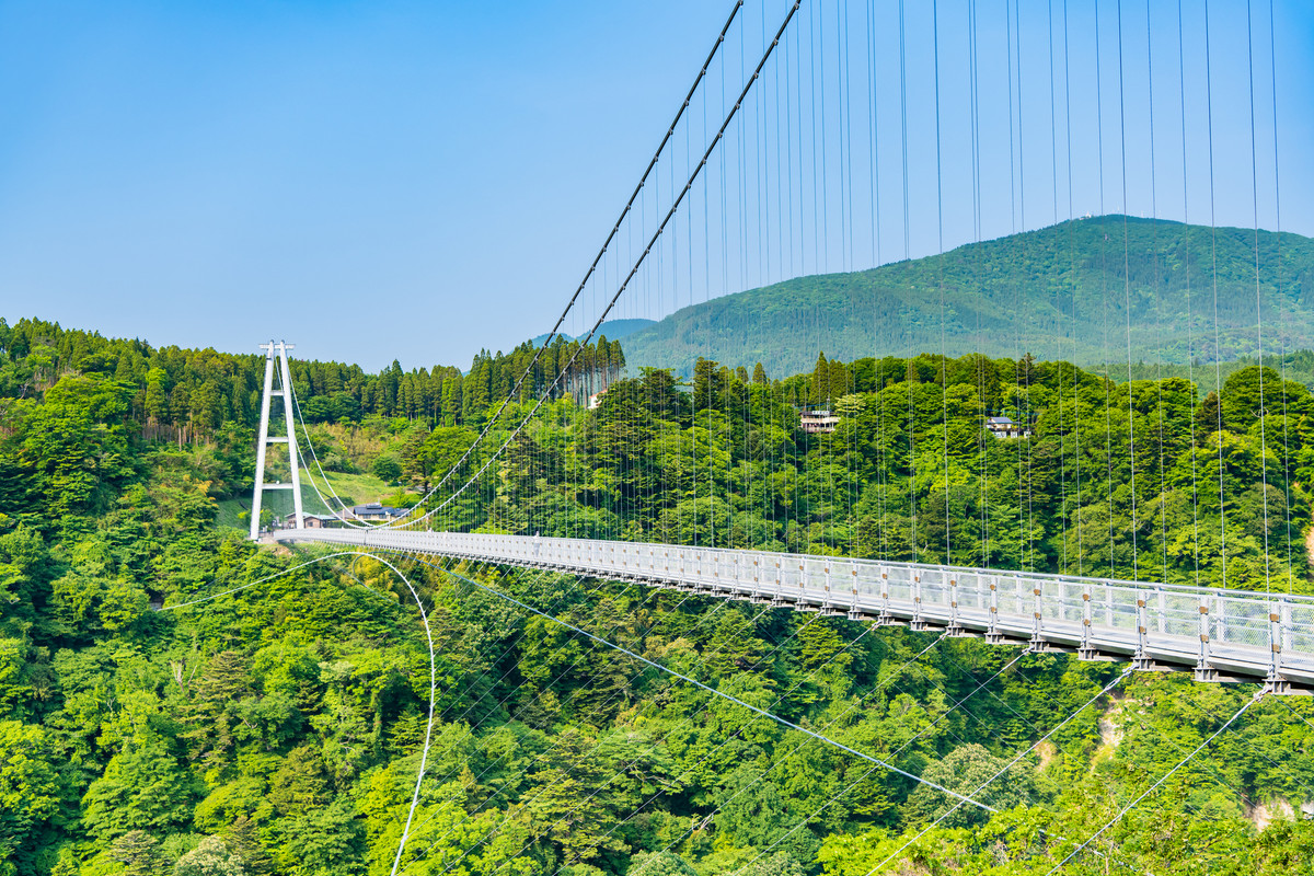 九重“夢”大吊橋の風景