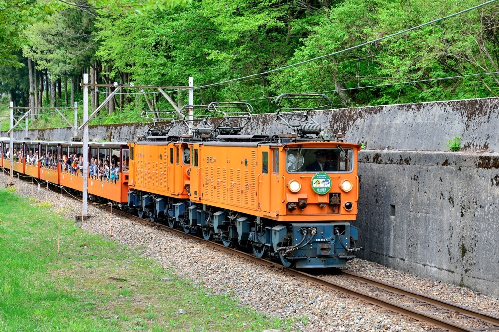 富山観光に入れたい「黒部峡谷トロッコ電車」512134