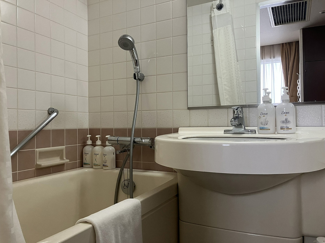 バスルームには段差が残り、デザインも古典的です