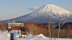 フリーダムイン