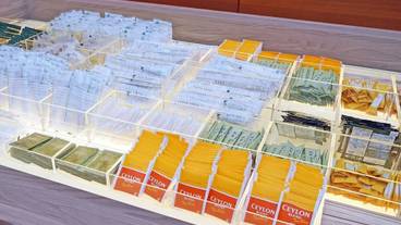 客室の設備とサービス / 5