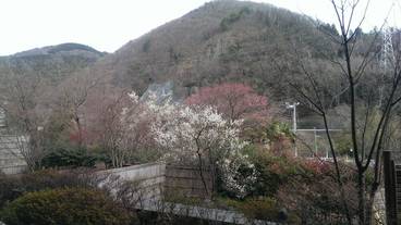 施設からの眺望 / 21