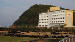 太地温泉 花いろどりの宿 花游（かゆう）