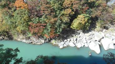 施設からの眺望 / 40