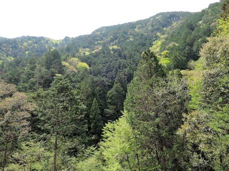 ペンション AKA-TOMBO（あかとんぼ） / 2