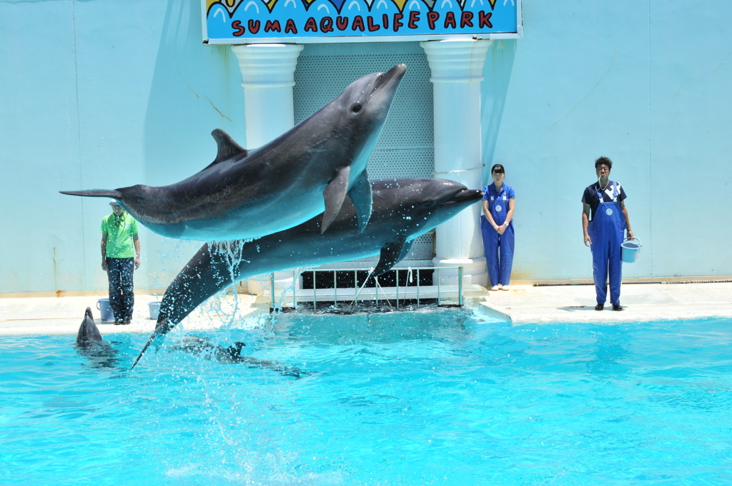 1. 須磨海浜水族園787858