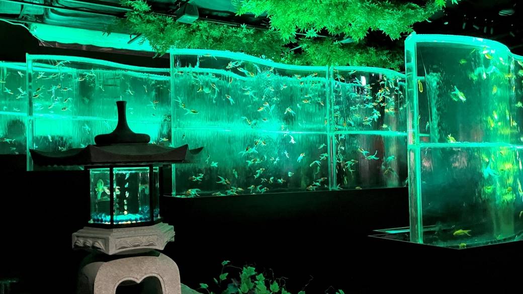 金魚アート イメージ(2) / 3