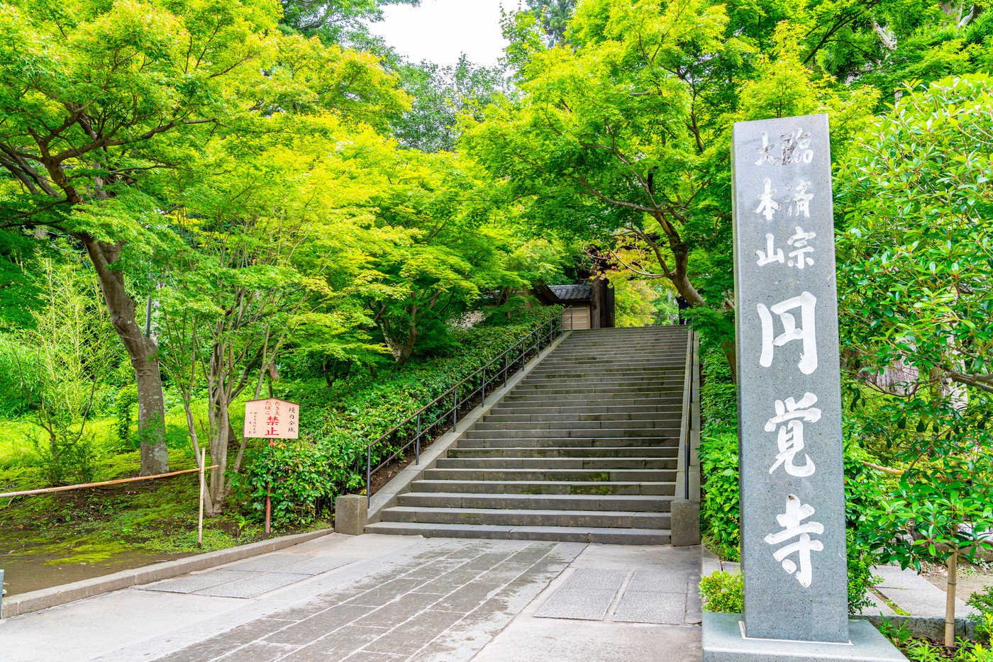 【神奈川県】鎌倉　生い茂る新緑が美しい円覚寺