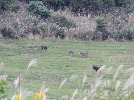 湯布院塚原高原 絶景の宿 恵里菜 KUMAGAI BOKUJO / 3