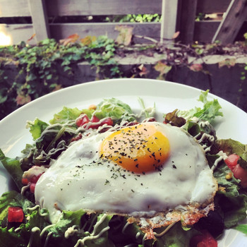 「ナルーカフェ」料理 59356 