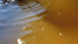 プレミアム スイート 専用バスルーム マウンテンビュー