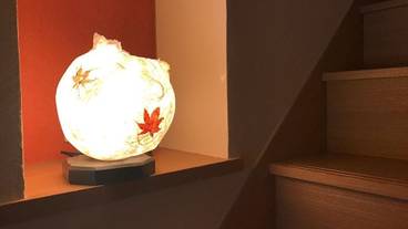 内装の詳細 / 14