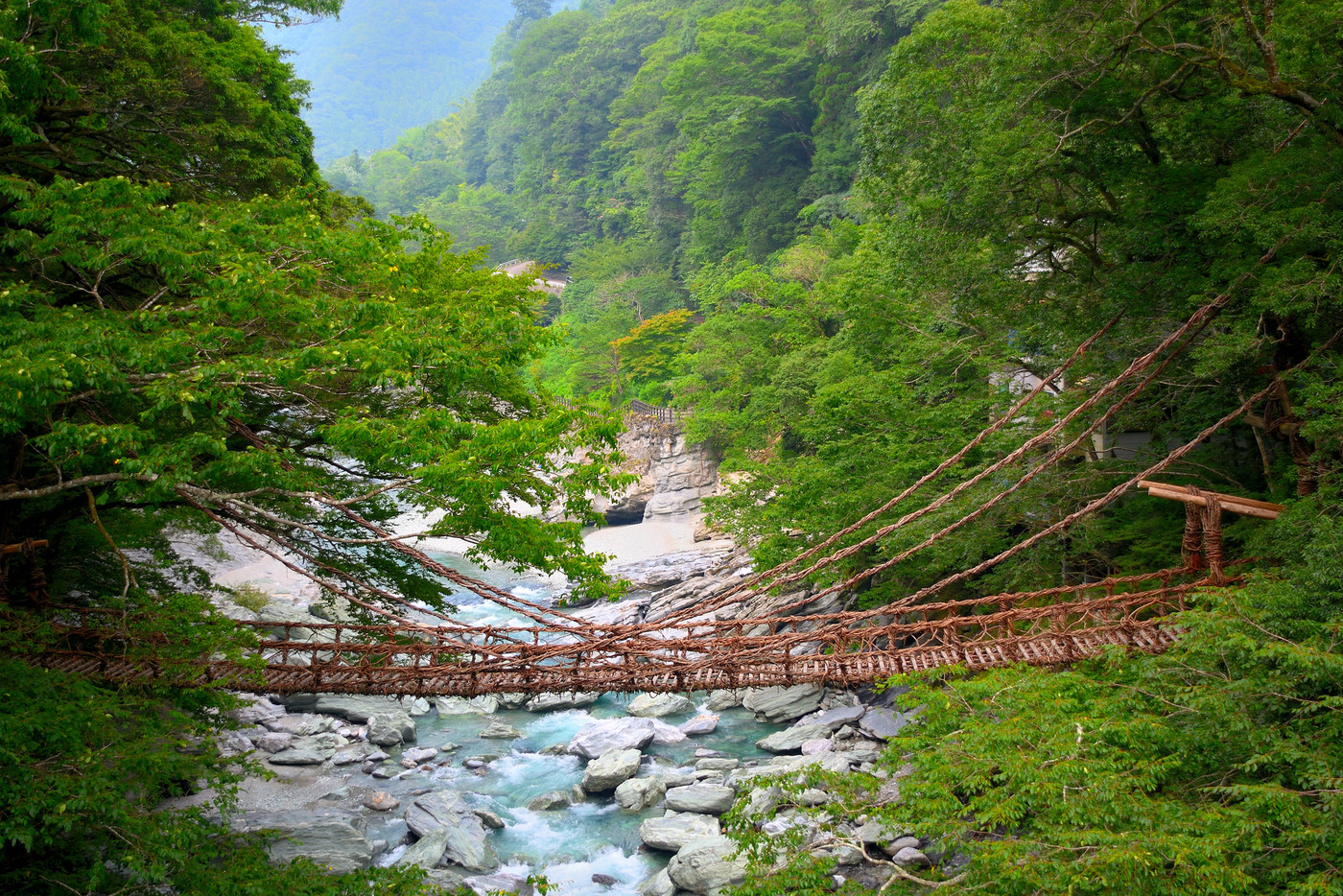 大自然に包まれる秘境、徳島県「祖谷（いや）」3516361