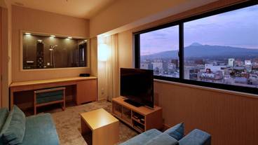 プレミアムツイン 眺め例 / 2