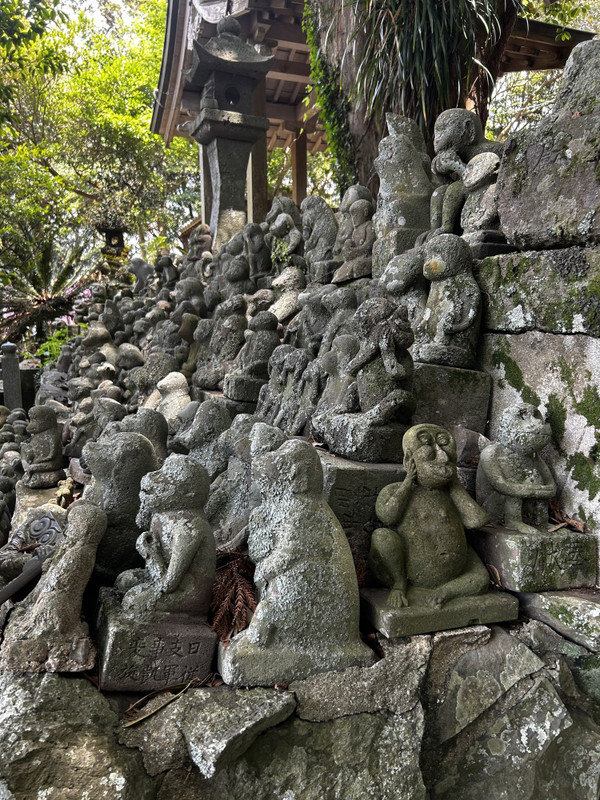 icotto_ihさんの写真 / 10