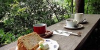 仙台のおしゃれカフェ決定版♪居心地最高のおすすめ店9選