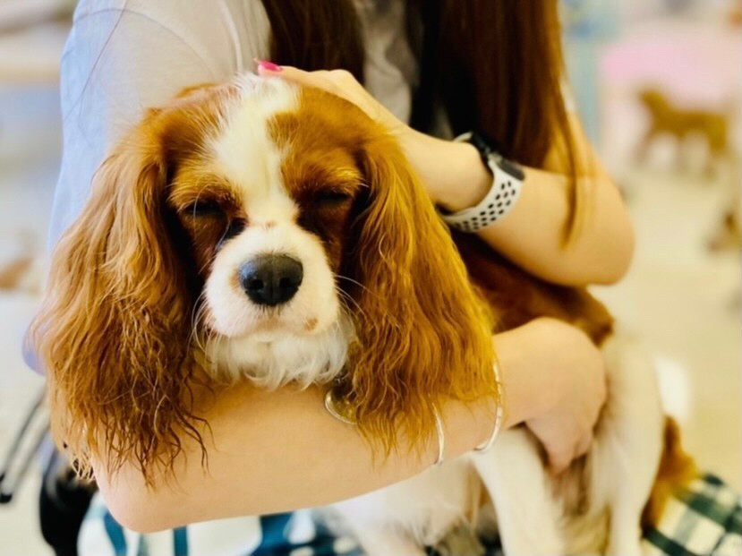 ma.ri7072さんの写真 / 1