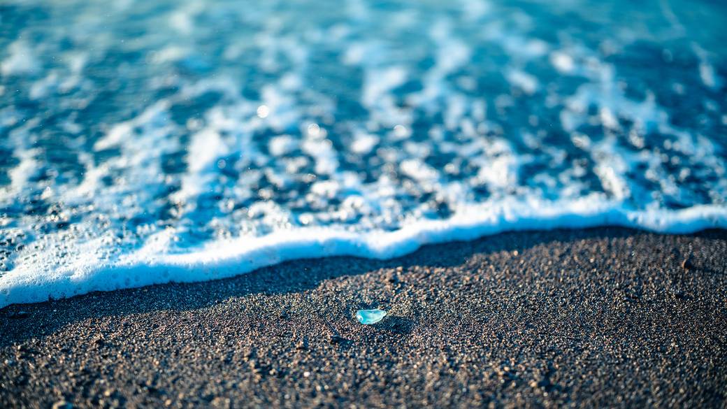 仲良く手を繋いで
海辺をお散歩 / 1