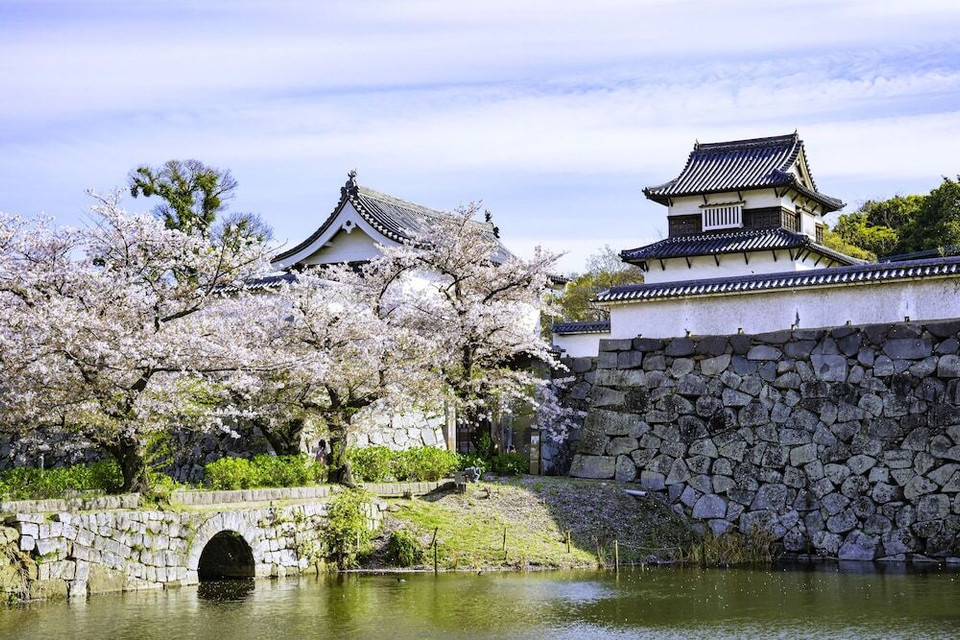 観光スポット 舞鶴公園
