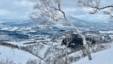 スノー スポーツとスキー / 16