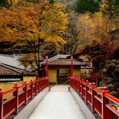 全室露天風呂付き客室の宿 真木温泉（山梨県 旅館） / 4